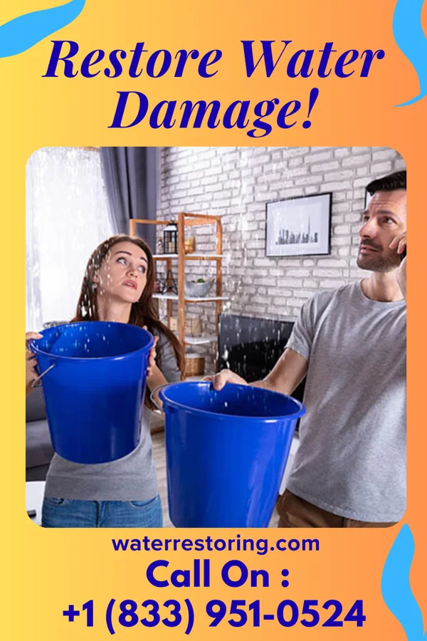 water restoration Ideal Damage Recovery Professionals Weston